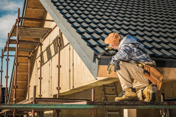 Best Roof Moss and Algae Removal  in Twin Lakes, VA